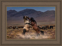 Load image into Gallery viewer, Desert Duel