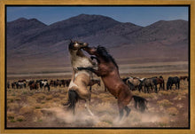 Load image into Gallery viewer, Desert Duel