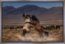 Load image into Gallery viewer, Desert Duel
