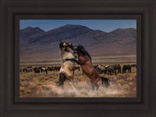Load image into Gallery viewer, Desert Duel
