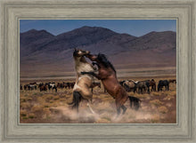 Load image into Gallery viewer, Desert Duel