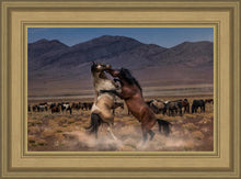 Load image into Gallery viewer, Desert Duel