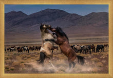 Load image into Gallery viewer, Desert Duel