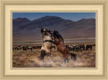 Load image into Gallery viewer, Desert Duel