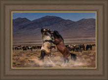 Load image into Gallery viewer, Desert Duel