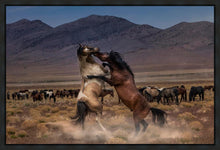 Load image into Gallery viewer, Desert Duel
