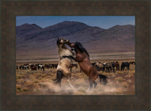 Load image into Gallery viewer, Desert Duel