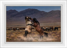 Load image into Gallery viewer, Desert Duel