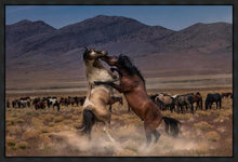Load image into Gallery viewer, Desert Duel
