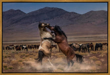 Load image into Gallery viewer, Desert Duel
