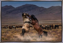 Load image into Gallery viewer, Desert Duel