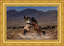 Load image into Gallery viewer, Desert Duel