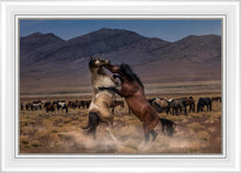 Load image into Gallery viewer, Desert Duel
