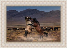 Load image into Gallery viewer, Desert Duel