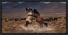 Load image into Gallery viewer, Desert Duel