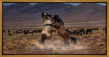 Load image into Gallery viewer, Desert Duel