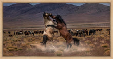 Load image into Gallery viewer, Desert Duel
