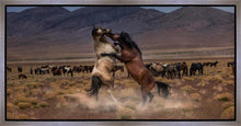 Load image into Gallery viewer, Desert Duel
