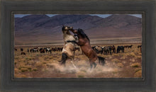 Load image into Gallery viewer, Desert Duel