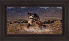 Load image into Gallery viewer, Desert Duel