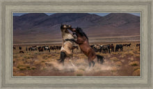 Load image into Gallery viewer, Desert Duel