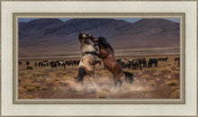 Load image into Gallery viewer, Desert Duel