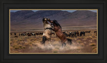 Load image into Gallery viewer, Desert Duel