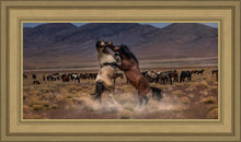 Load image into Gallery viewer, Desert Duel