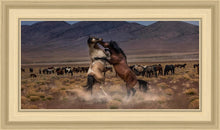 Load image into Gallery viewer, Desert Duel