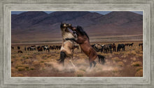 Load image into Gallery viewer, Desert Duel