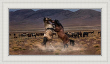 Load image into Gallery viewer, Desert Duel