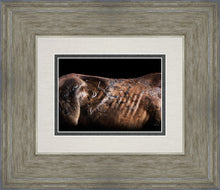 Load image into Gallery viewer, Battle Wounds
