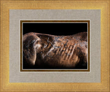 Load image into Gallery viewer, Battle Wounds