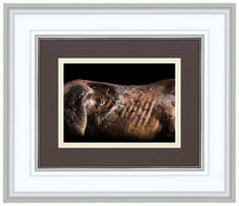 Load image into Gallery viewer, Battle Wounds