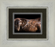 Load image into Gallery viewer, Battle Wounds
