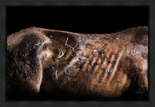 Load image into Gallery viewer, Battle Wounds