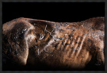 Load image into Gallery viewer, Battle Wounds