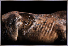 Load image into Gallery viewer, Battle Wounds