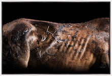 Load image into Gallery viewer, Battle Wounds
