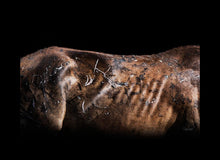 Load image into Gallery viewer, Battle Wounds