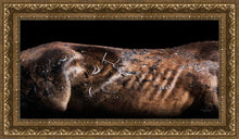 Load image into Gallery viewer, Battle Wounds