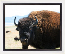 Load image into Gallery viewer, What Are You Looking At