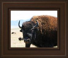 Load image into Gallery viewer, What Are You Looking At