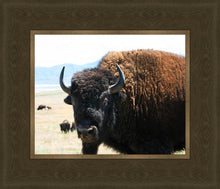 Load image into Gallery viewer, What Are You Looking At