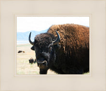 Load image into Gallery viewer, What Are You Looking At