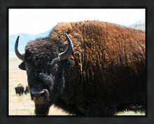 Load image into Gallery viewer, What Are You Looking At