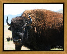 Load image into Gallery viewer, What Are You Looking At