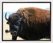 Load image into Gallery viewer, What Are You Looking At