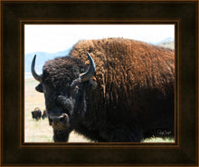 Load image into Gallery viewer, What Are You Looking At