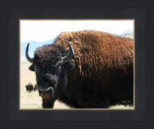 Load image into Gallery viewer, What Are You Looking At